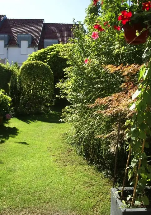 Gepflegter Garten mit geschnittenen Büschen