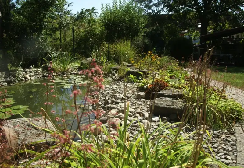 Begrünte Teichanlage mit Pflanzen und Wasser
