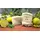 havannafrische Naturseife 100g vor floralem Hintergrund
